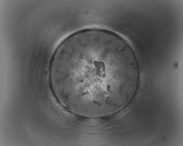 X0000112881279200908281628