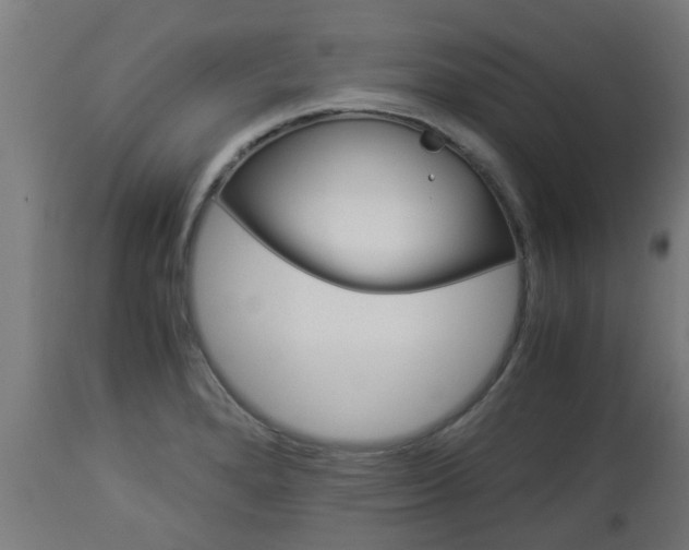 X0000112881280200908281628