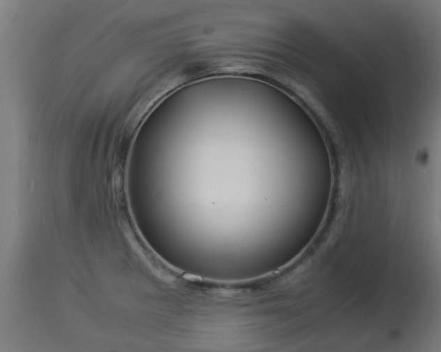 X0000112881281200908281628