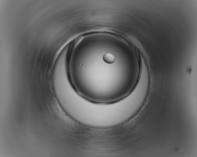 X0000112881284200908281628