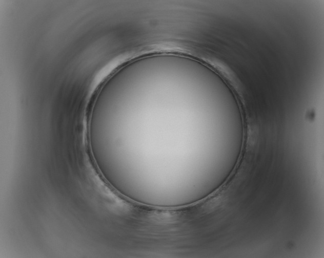 X0000112881286200908281628