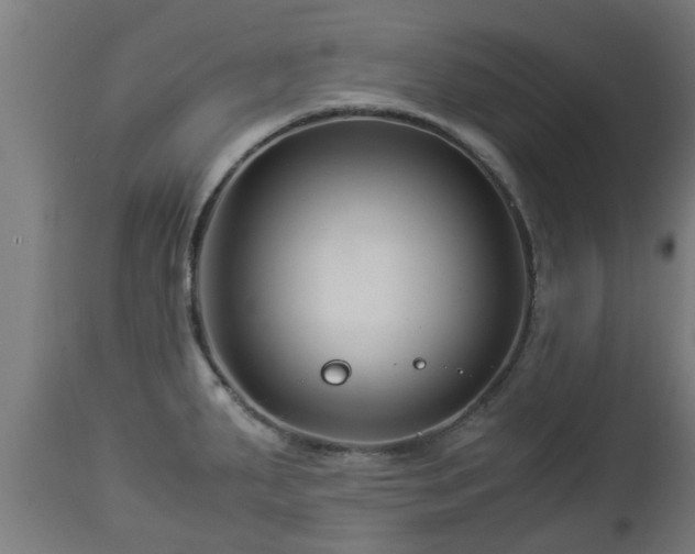 X0000112881287200908281628