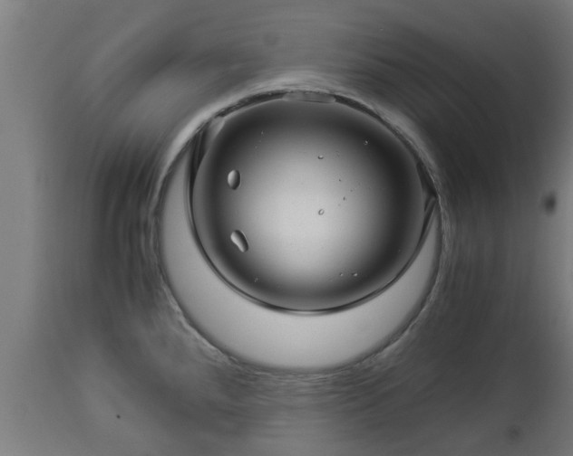 X0000112881288200908281628