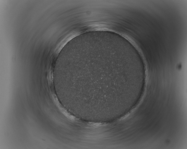 X0000112881289200908281628