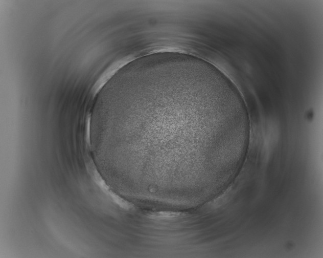 X0000112881290200908281628