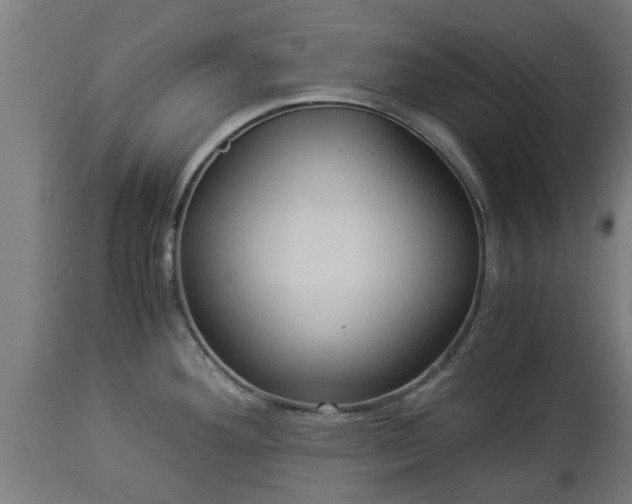 X0000112881292200908281628