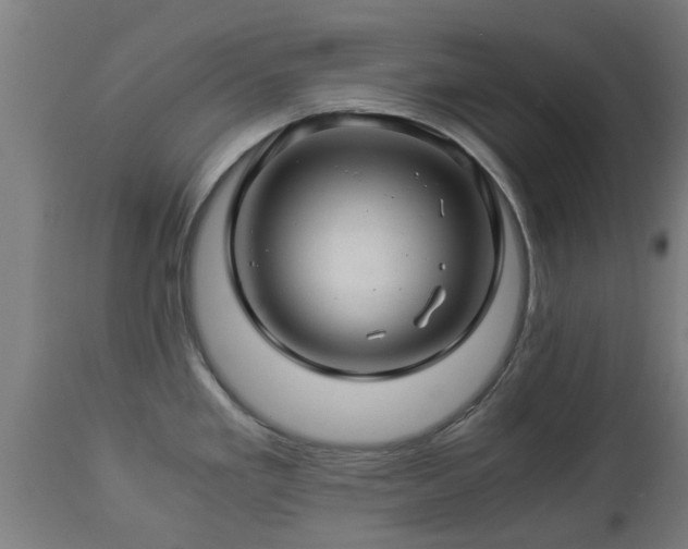 X0000112881293200908281628