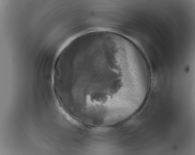 X0000112881294200908281628