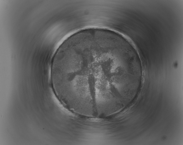 X0000112881295200908281628