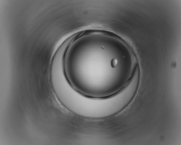 X0000112881296200908281628