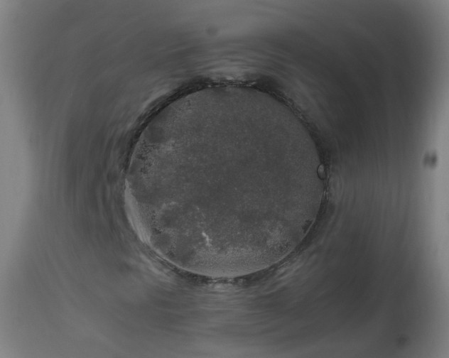 X0000112881297200908281627