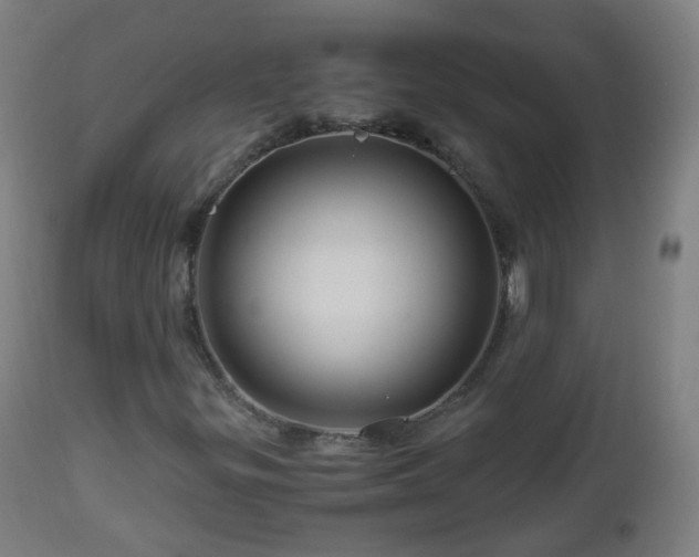 X0000112881299200908281627