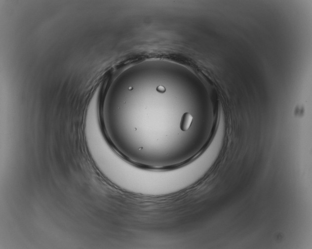 X0000112881300200908281627