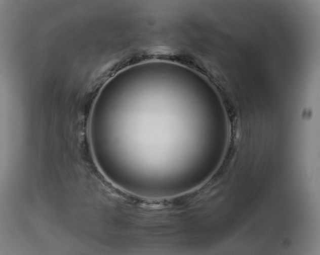 X0000112881301200908281627