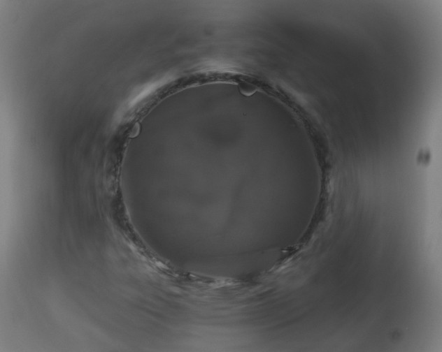 X0000112881303200908281627