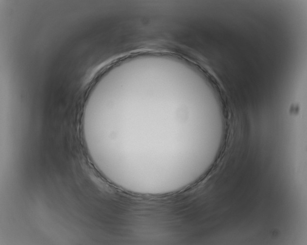 X0000112881304200908281627