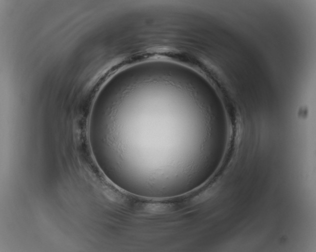 X0000112881305200908281627