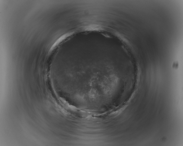 X0000112881306200908281627