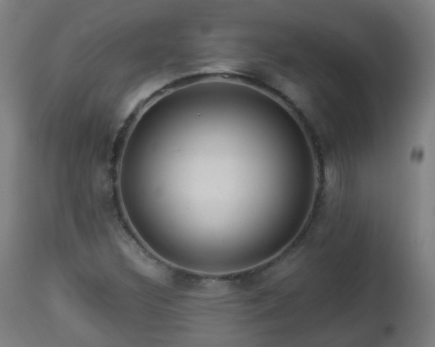 X0000112881308200908281627