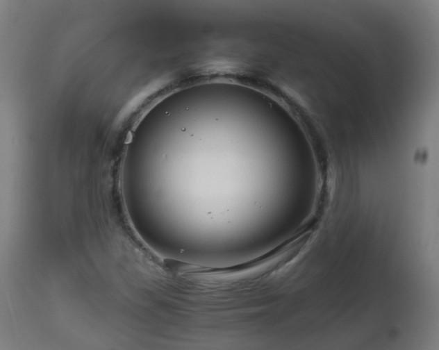 X0000112881309200908281627