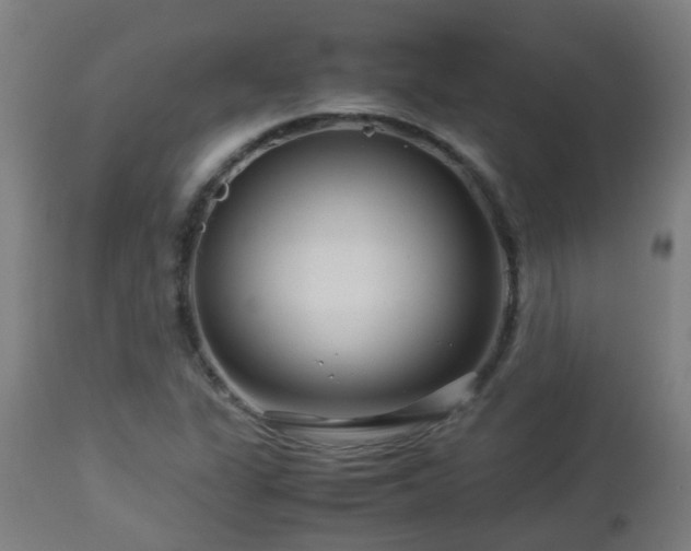 X0000112881311200908281627