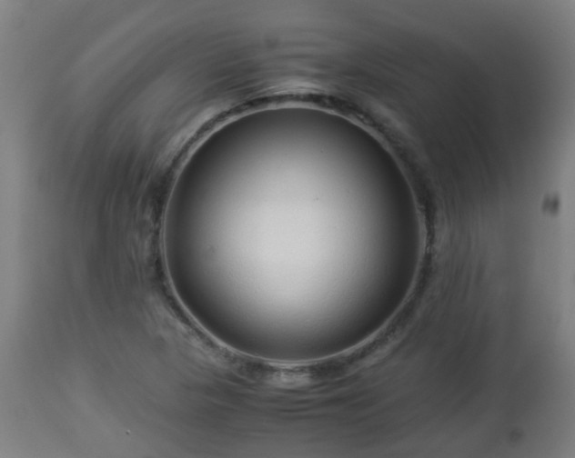 X0000112881313200908281627