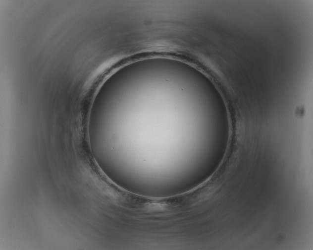 X0000112881315200908281627