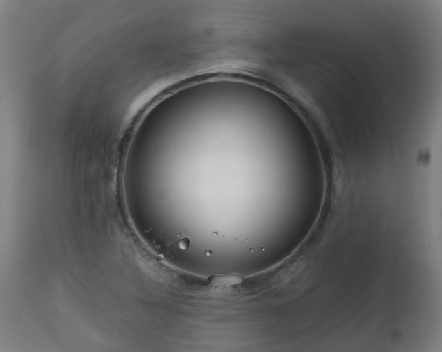 X0000112881316200908281627