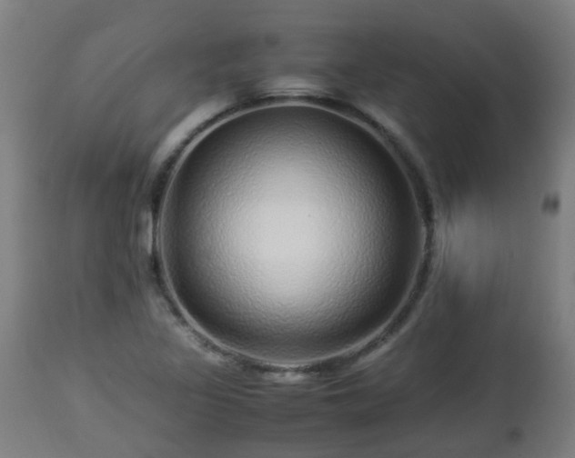 X0000112881317200908281627