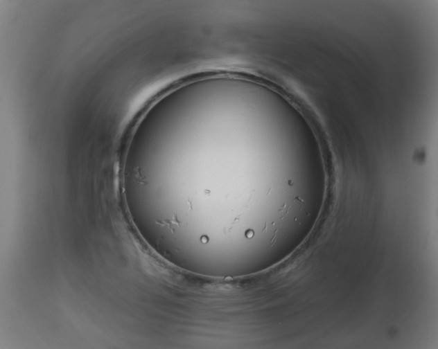 X0000112881320200908281627