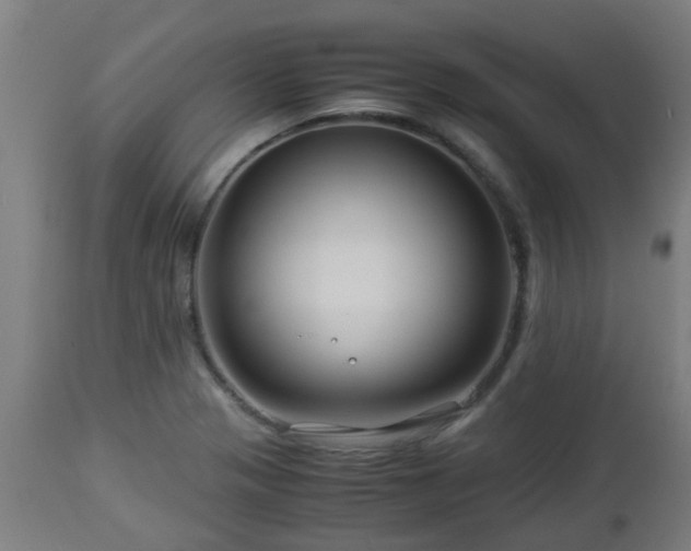 X0000112881321200908281627