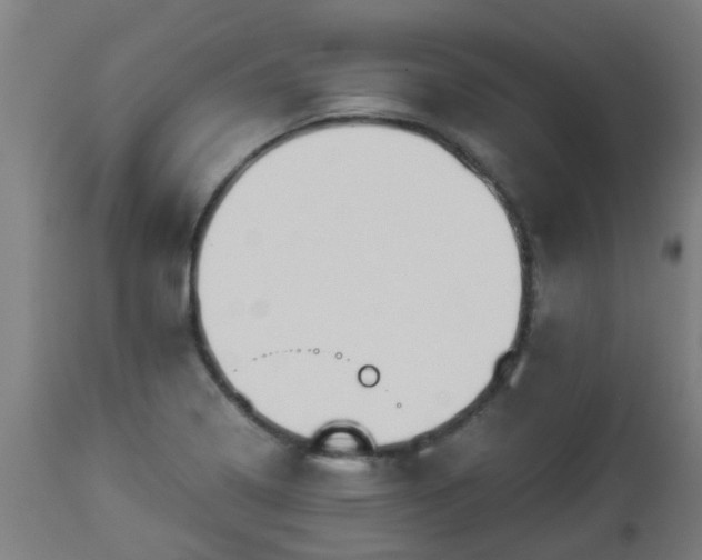 X0000112881322200908281627