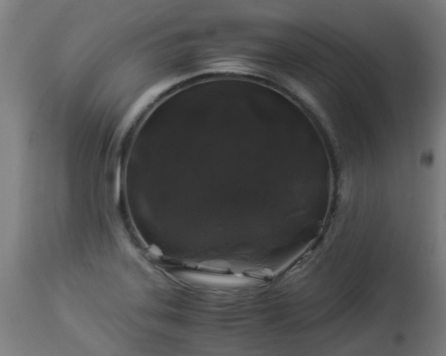 X0000112881323200908281627