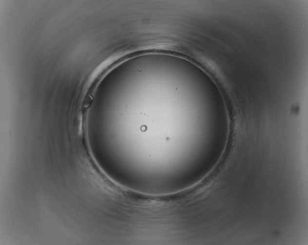 X0000112881324200908281627