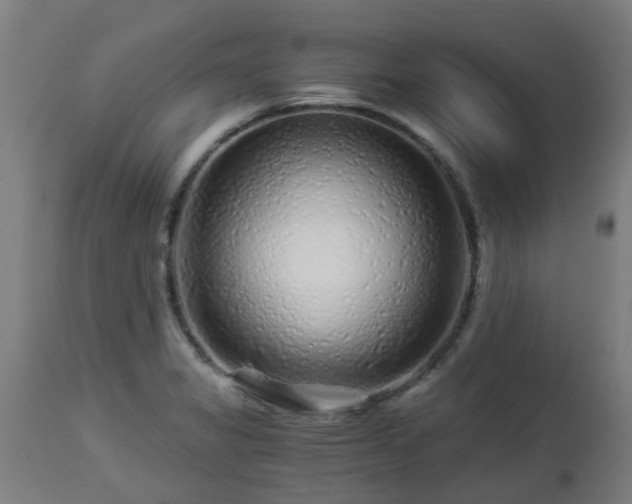 X0000112881325200908281627