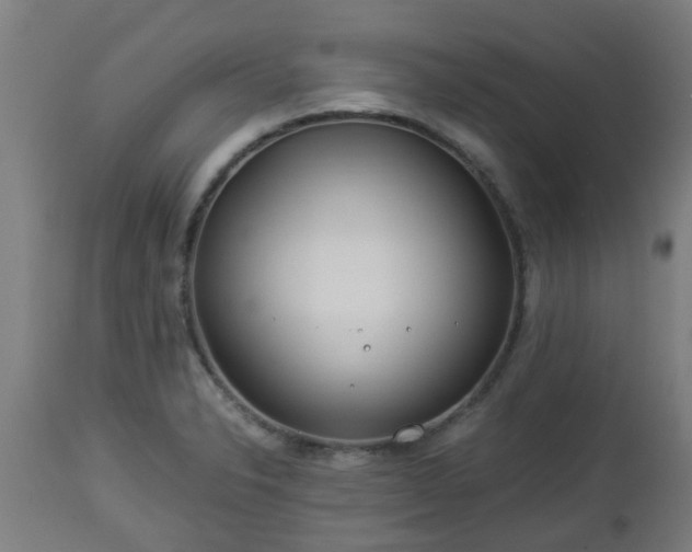 X0000112881326200908281627