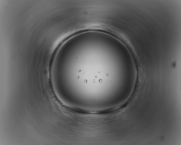 X0000112881328200908281628