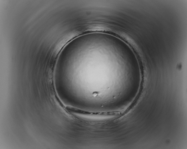 X0000112881329200908281628