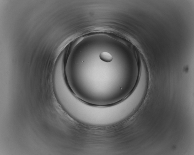 X0000112881330200908281628