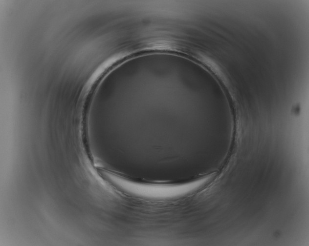 X0000112881331200908281628