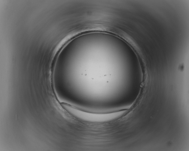 X0000112881332200908281628