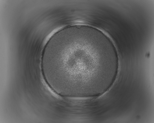 X0000112881333200908281628