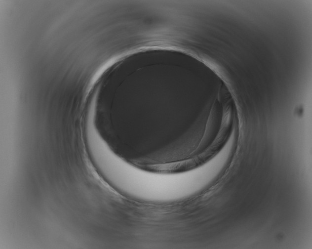 X0000112881334200908281628