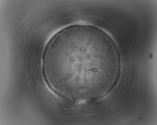 X0000112881335200908281628