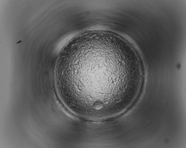 X0000112881337200908281628