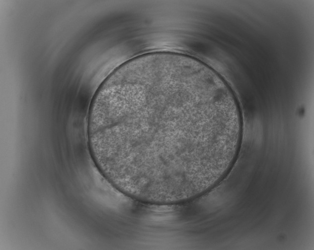 X0000112881338200908281628