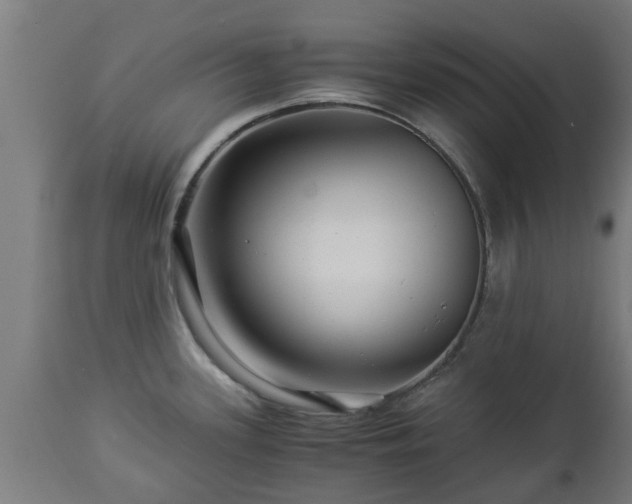 X0000112881339200908281628