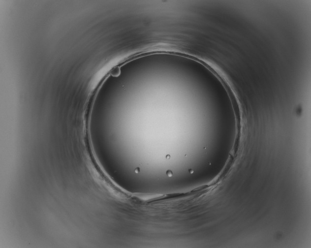 X0000112881341200908281628