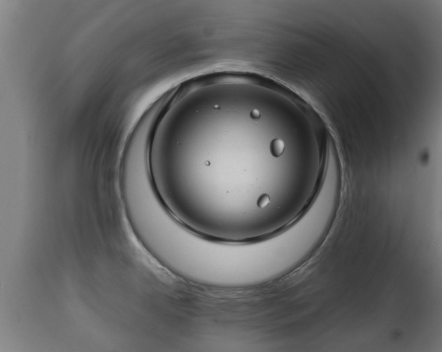 X0000112881342200908281628