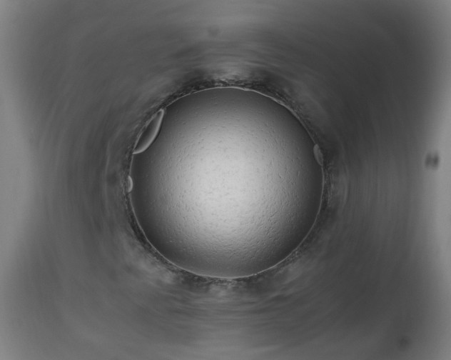 X0000112881345200908281627